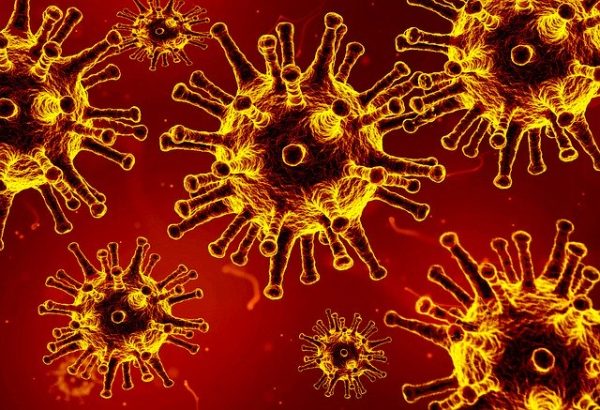 Budget pour se protéger du coronavirus : la moitié des dépenses sont remboursées par l’Assurance Maladie